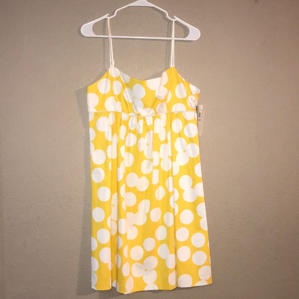 NWT Size 12 Signature London Style Polka Dot Dress